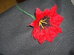 01.jpg