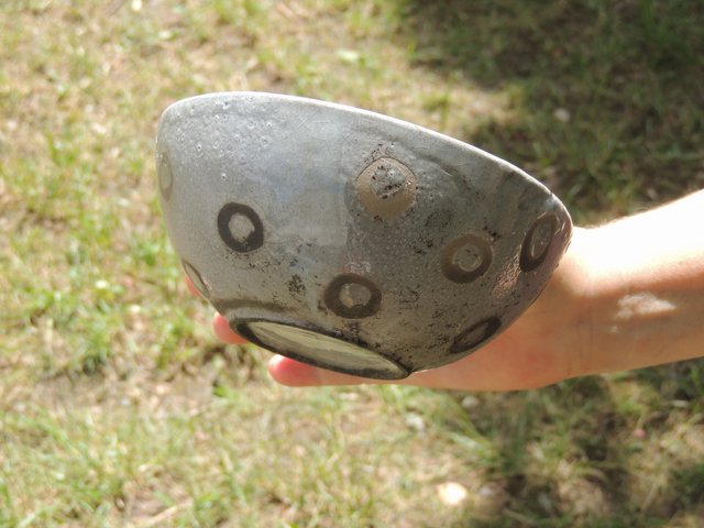 036.jpg
