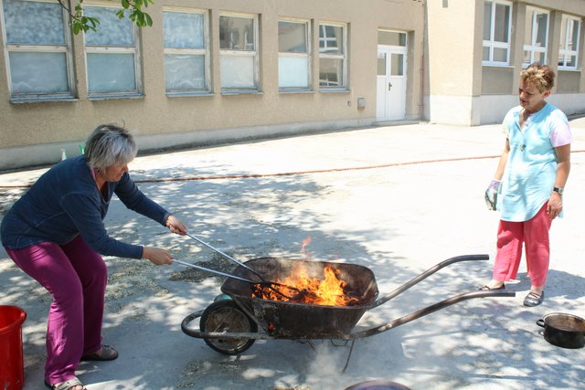 184.jpg