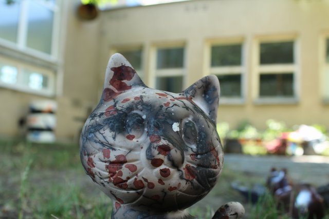 190.jpg