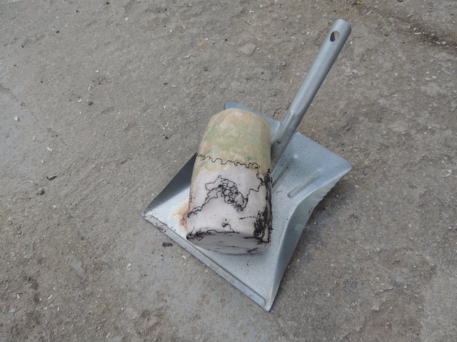 62.jpg