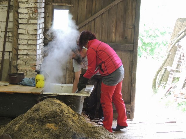 010.jpg