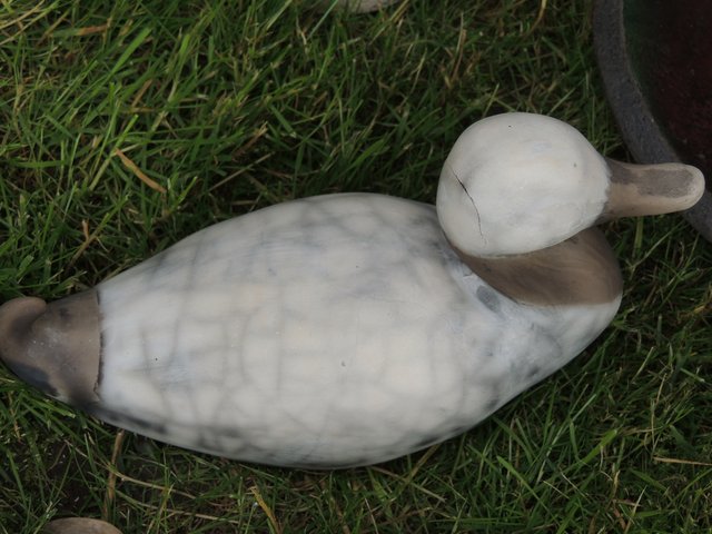 030.jpg