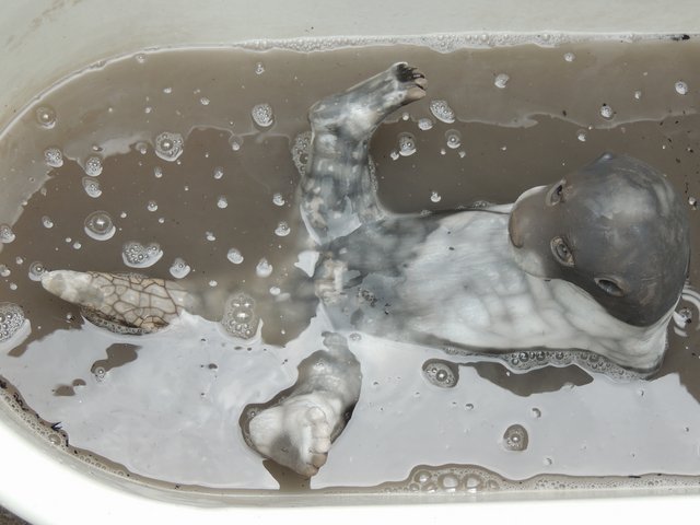 67.jpg