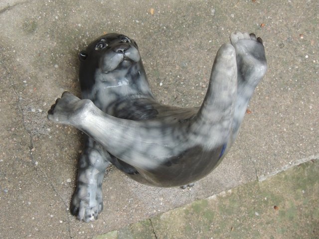 75.jpg