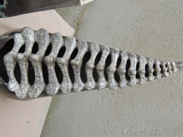 81.jpg
